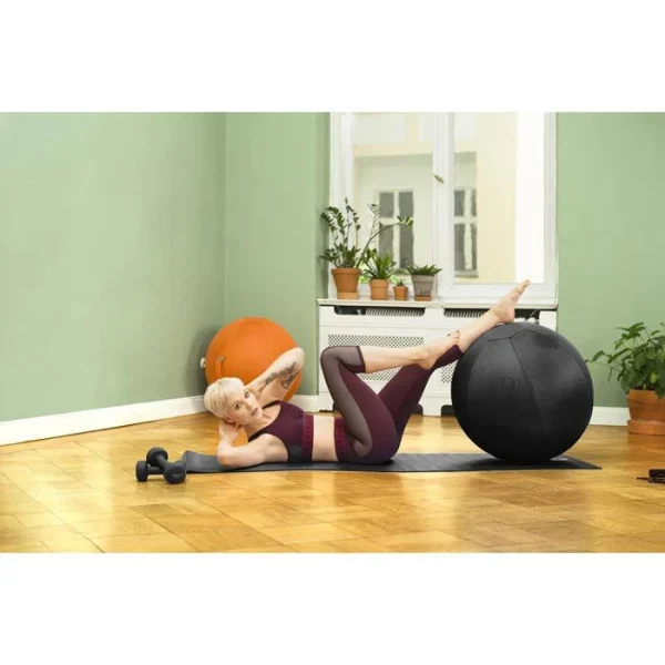 Sitting-Ball Sitzball MESH, Netzoptik, Schwarz 5